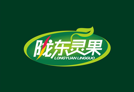 陇东灵果品牌设计案例