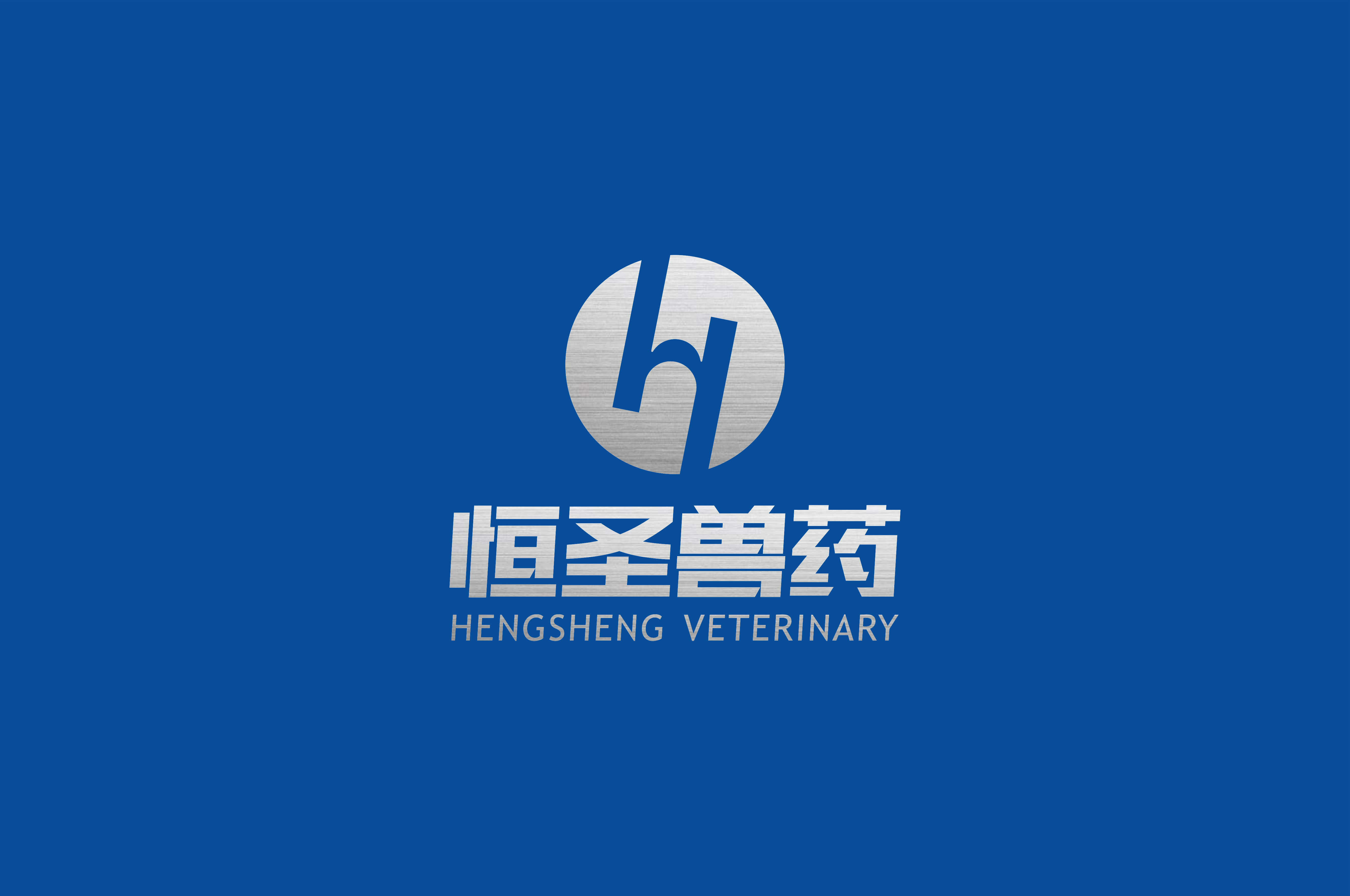 恒圣医药品牌设计(图1)