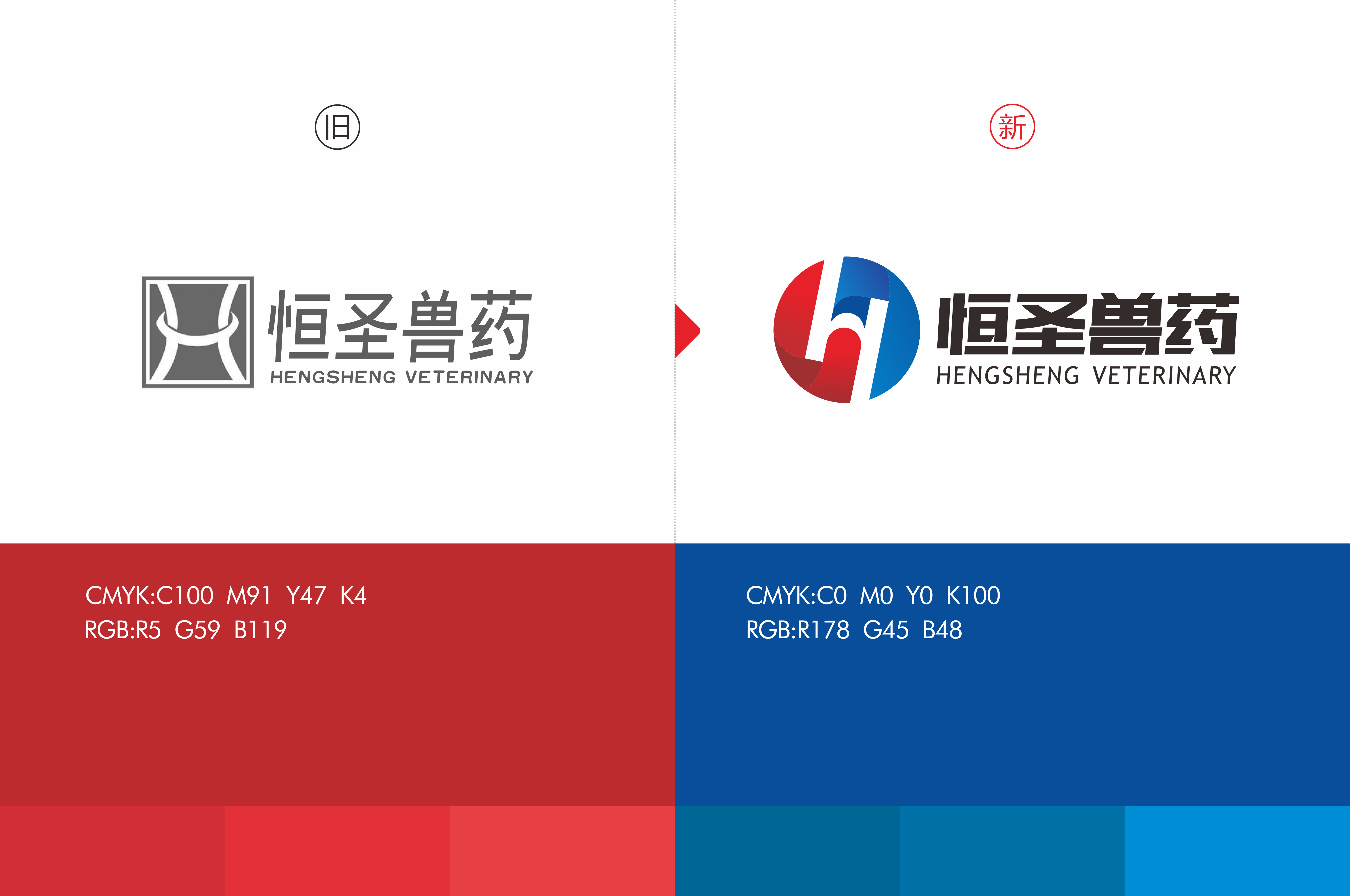 恒圣医药品牌设计(图2)