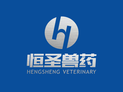 恒圣医药品牌设计