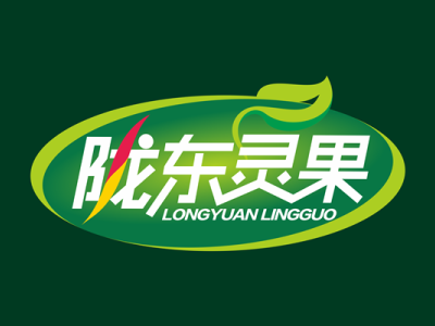 陇东灵果品牌设计